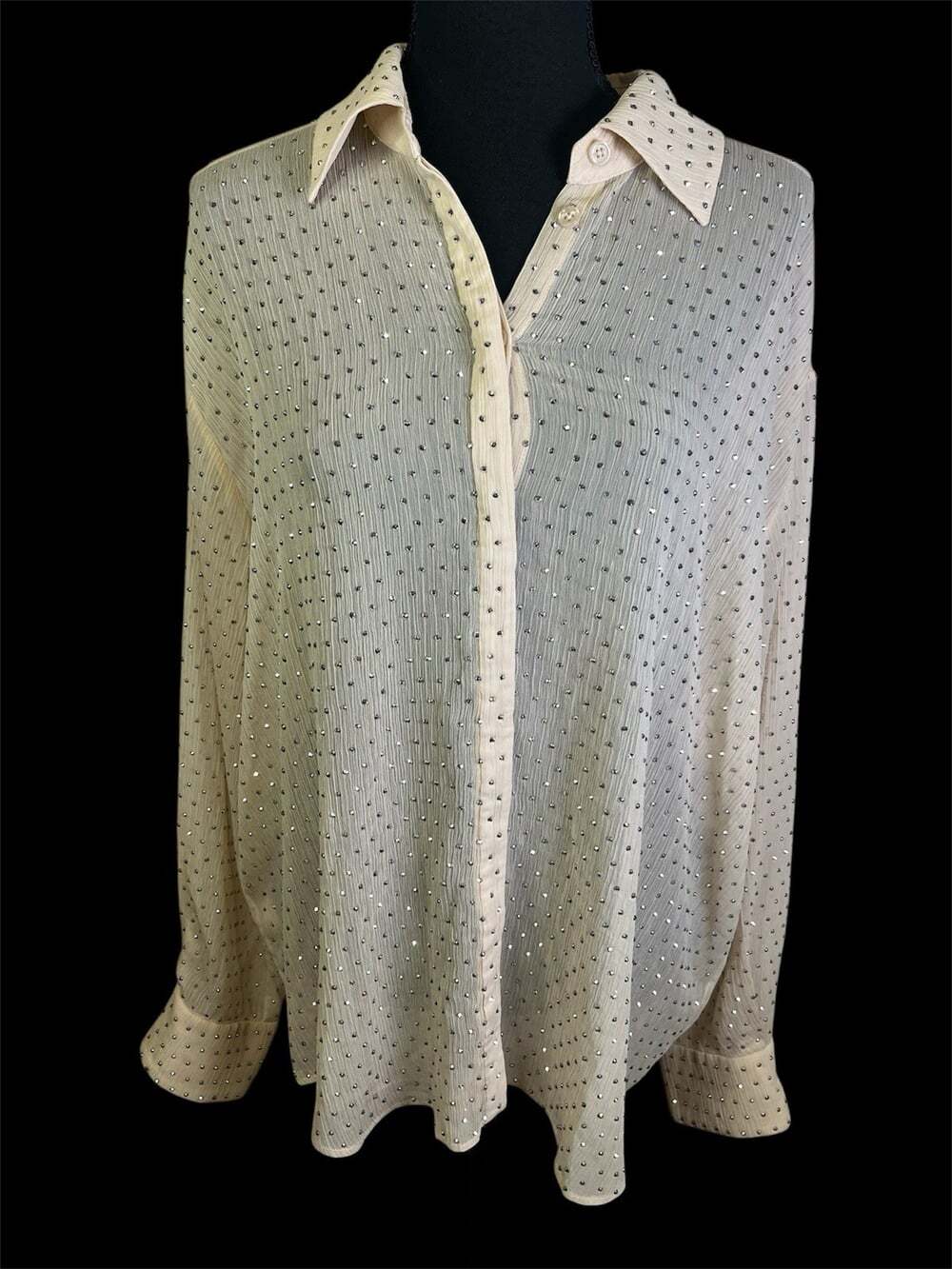Ronny Kobo Jocelyn Rhinestone Chiffon Top Sz XL Semi Sheer Button Long Sleeve